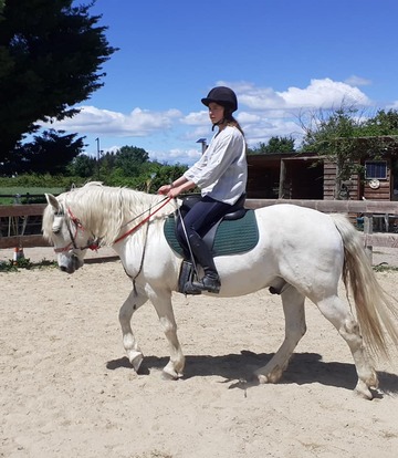 Équitation classique