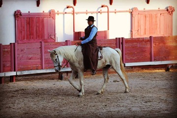 Équitation Camargue