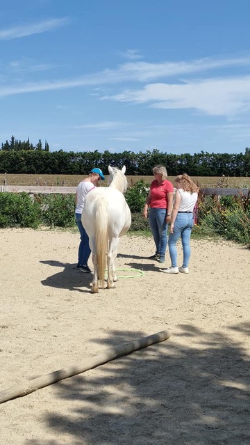 Équitation adaptée près de Nîmes  Équitation adaptée près de Nîmes