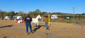 Concours Equifeel à Domazan