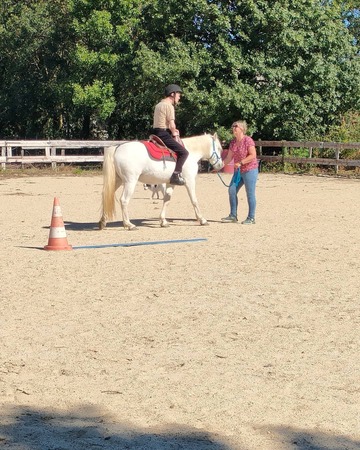 Le handicap et le cheval Le handicap et le cheval