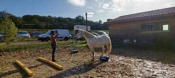 Concours Equifeel à Domazan