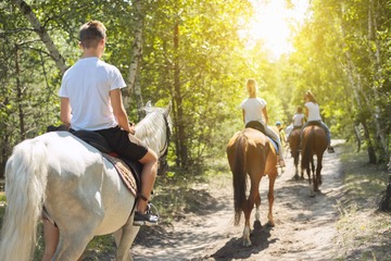 Balades à cheval en Camargue