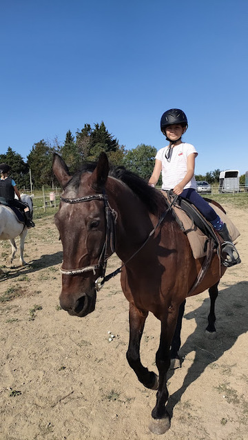 Réussite des examens fédéraux au centre équestre cet été