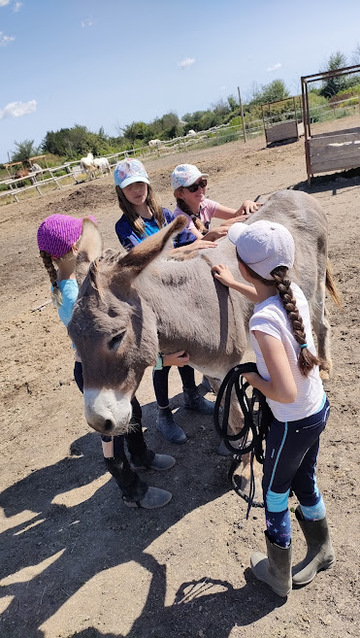 Réussite des examens fédéraux au centre équestre cet été