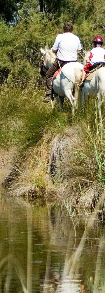 Partez en balade plein air  et découvrez la Camargue