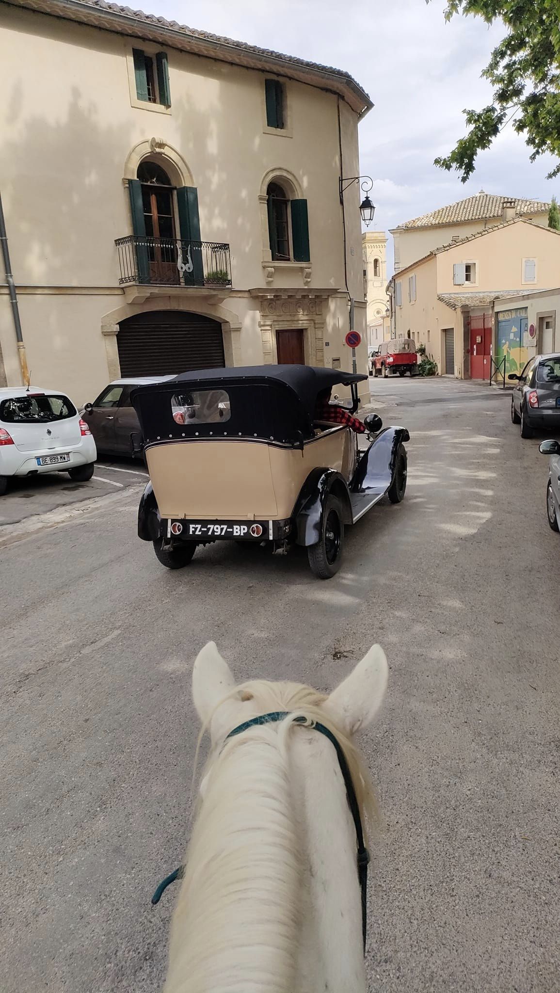 Balade à cheval de 2h pour cavaliers confirmés ce vendredi