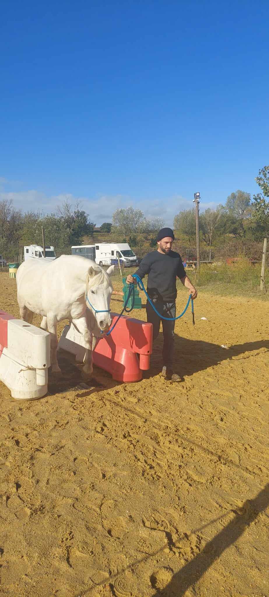 Concours Equifeel à Domazan