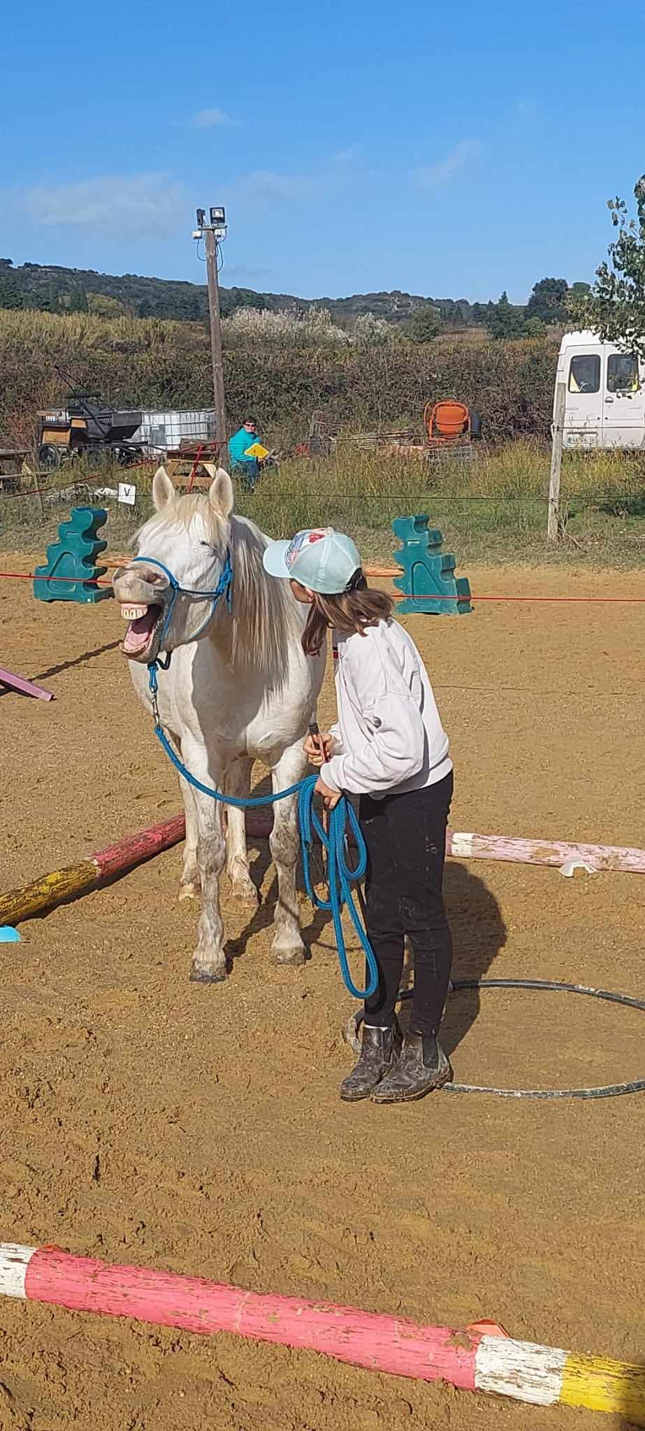 Concours Equifeel à Domazan