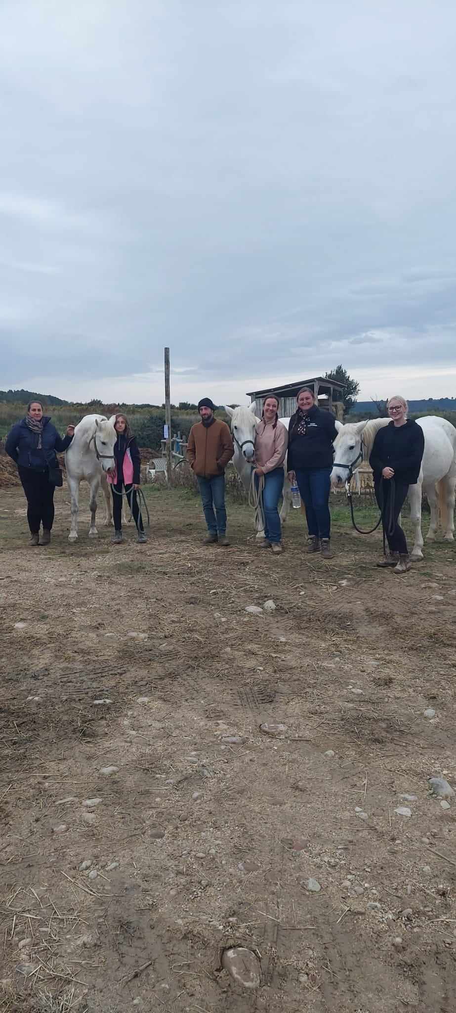 Concours Equifeel à Domazan