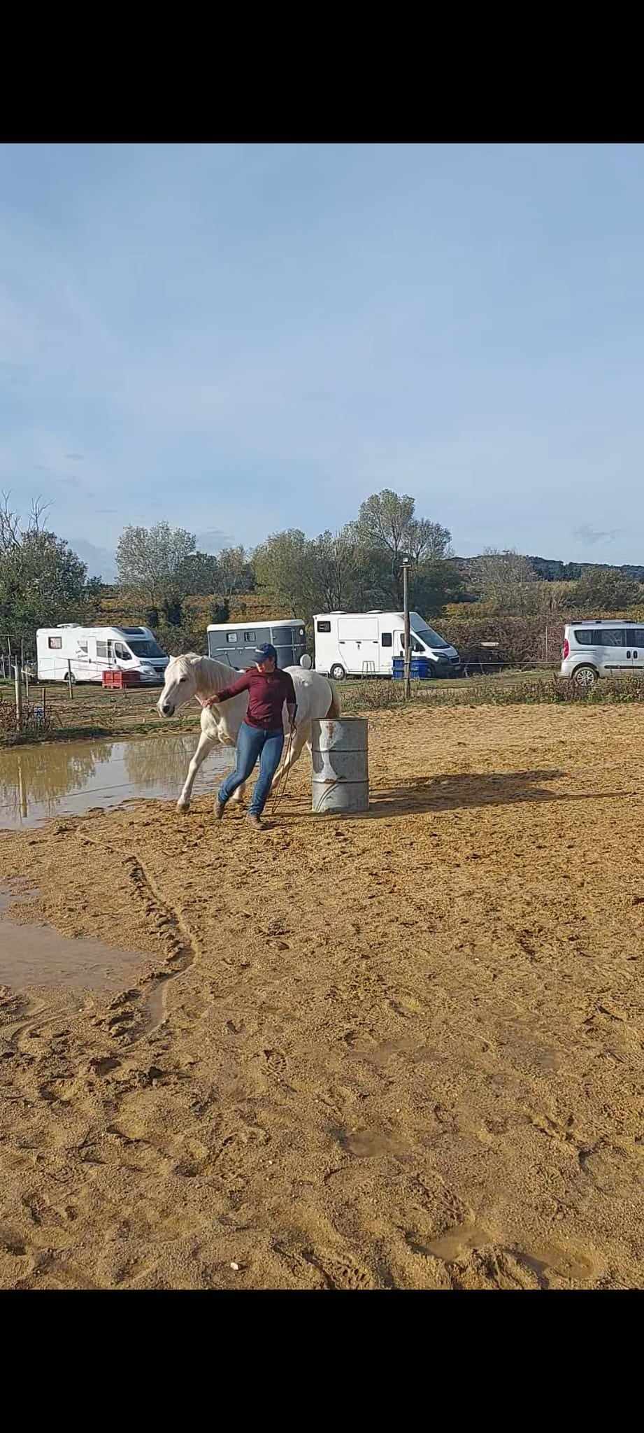 Concours Equifeel à Domazan