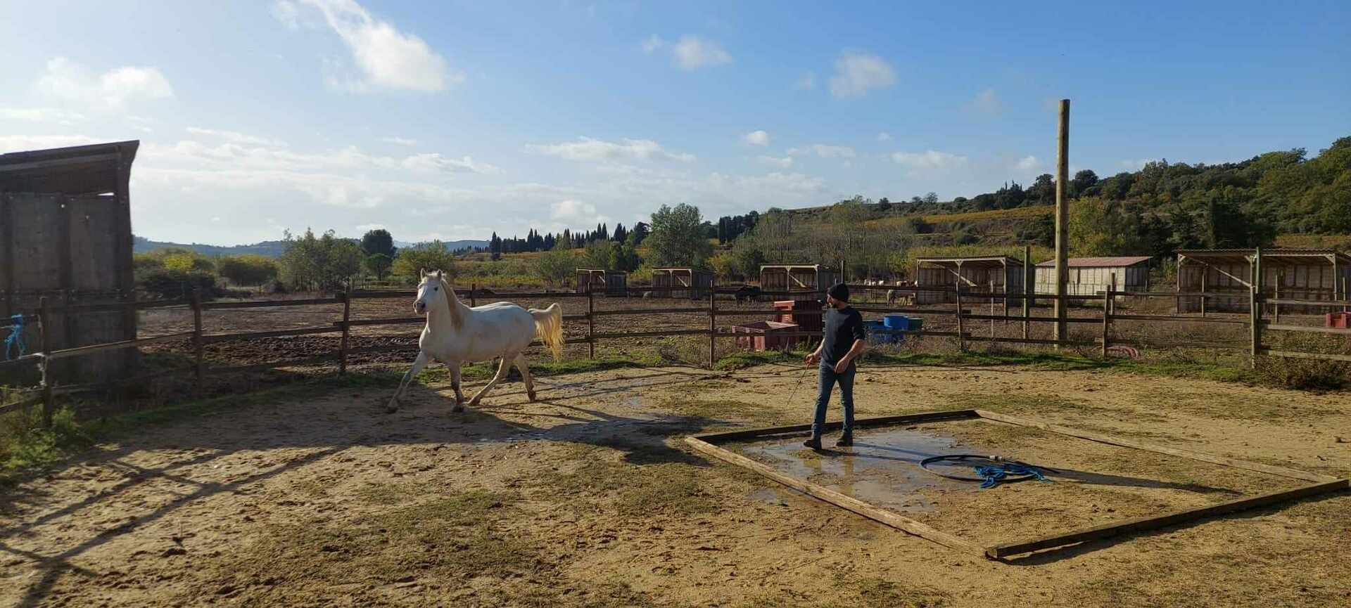 Concours Equifeel à Domazan