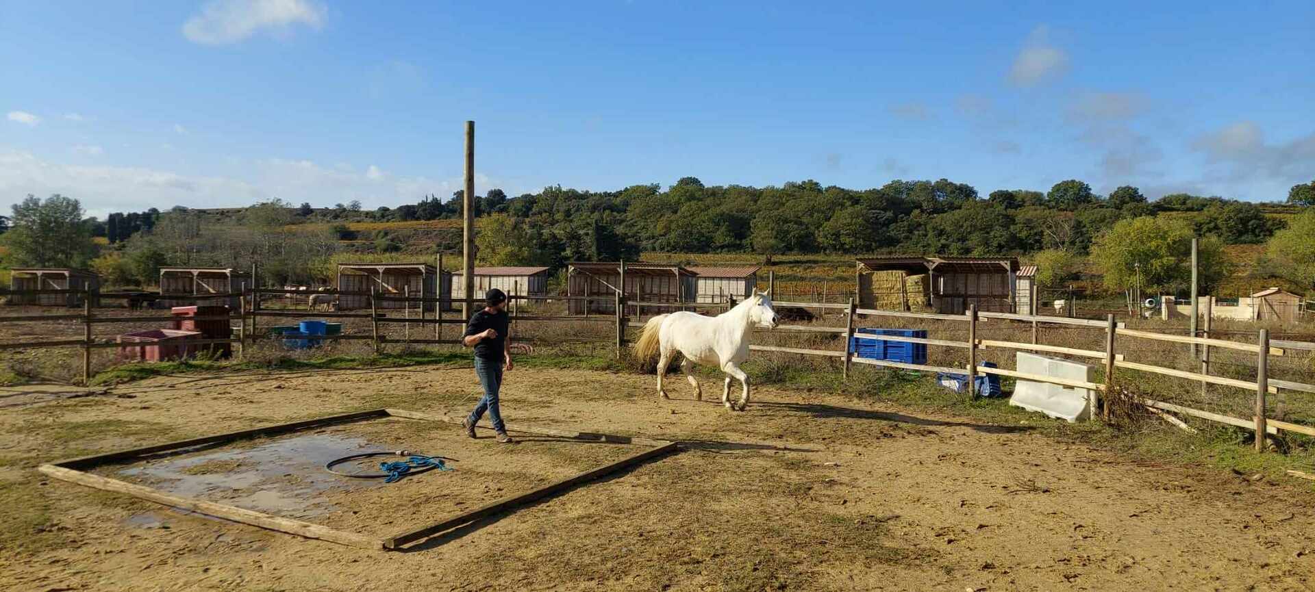 Concours Equifeel à Domazan