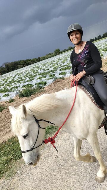 Balade à cheval de 2h pour cavaliers confirmés ce vendredi