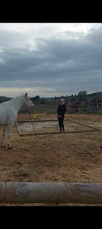 Concours Equifeel à Domazan