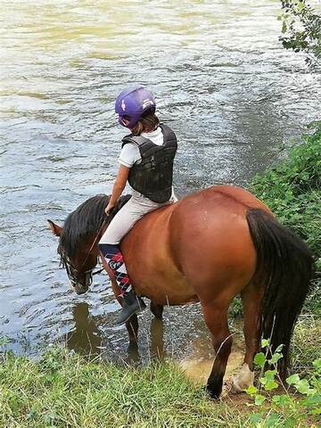 Sortie baignade avec les chevaux au Vidourle